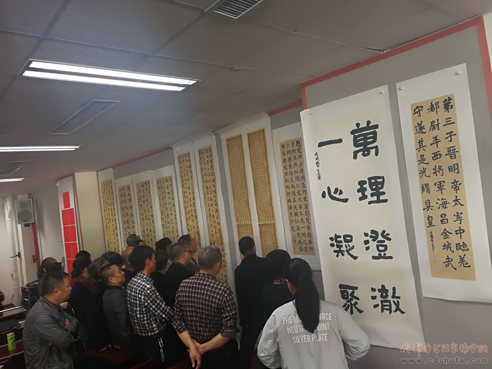 遂宁市书法家协会举行重点作者作品研究点评暨《杨旻书法讲座》活动