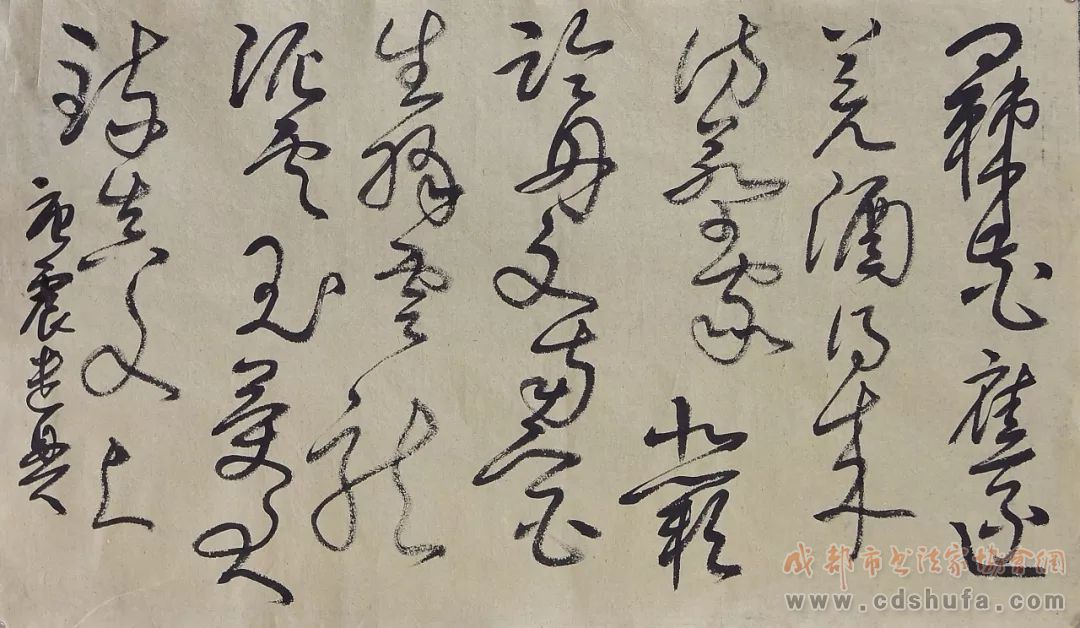 个庐·雪溪堂雅集将于四川省文化馆举行