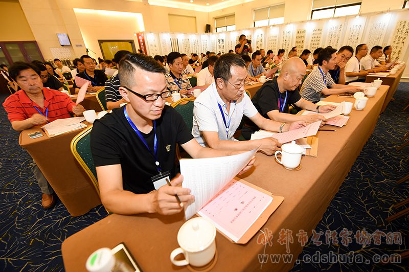 四川书法家网：成都市书法家协会第六次会员代表大会召开，舒炯当选第六届书协主席