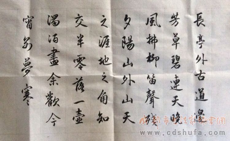 大邑县美术书法家协会举行今年第二次看稿会