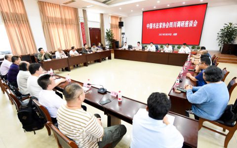 中国书法家协会在四川开展调研指导工作 成都市书法家协会参加