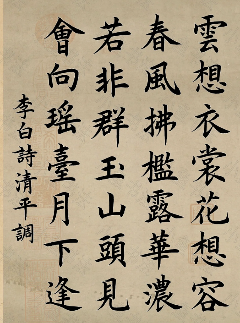 查看个人资料